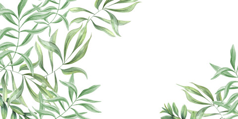 Green plants. Oleander branches. Template with olive leaves. Horizontal frame with copy space for text. Watercolor illustration isolated on white. Floral tropical design for wedding party invitation
