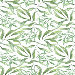 Fototapeta premium Tropical leaves. Green oleander branches. Seamless pattern of olive leaves. Ivy realistic foliage. Watercolor illustration isolated on white background. Floral greenery design for package, textile