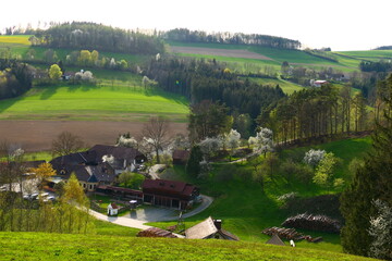 Blick in die bucklige Welt, Landschaft im südlichen Niederösterreich