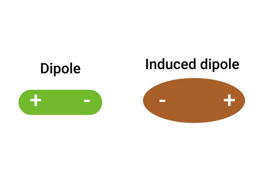 Difference between Dipole and Induced dipole