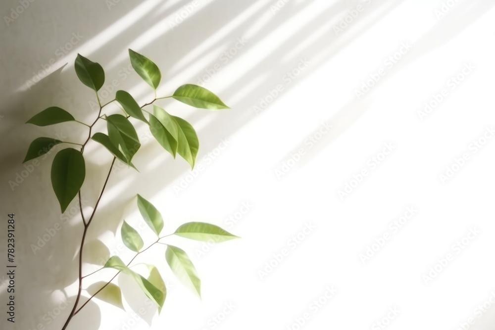 Aufkleber minimalist abstract background with blurred leaf shadows generative ai