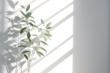 Minimal Abstract Wall Background with Blurred Leaf Shadows Generative AI