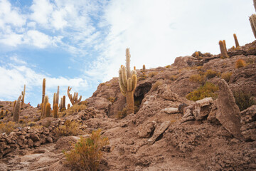 Rocky landscape with cactus on Incahuasi island on Salar de Uyuni salt flats, Bolivia
