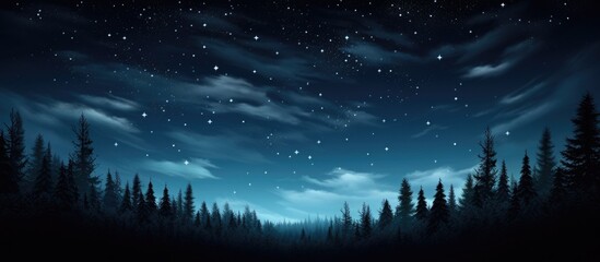 Night sky over dense woodland