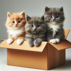 Three small kittens peek out of a cardboard box.