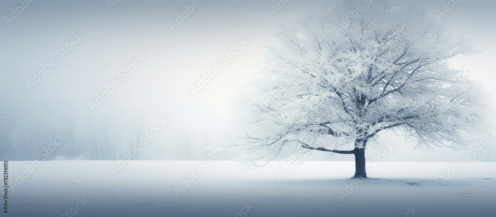 Poster snow-covered tree in misty winter field