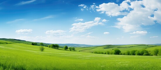 Fototapeta na wymiar Green field with trees and clouds