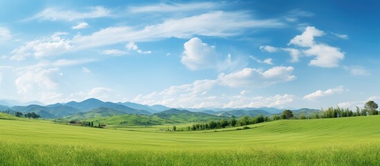 Fototapeta na wymiar Green field with distant mountains view