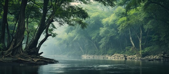A river flows among lush green trees and scattered rocks