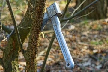 one small iron sharp gray industrial dangerous hatchet sticks out in a tree branch in the forest during the day