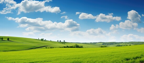 Fototapeta na wymiar Rural landscape with lush grass under a clear sky