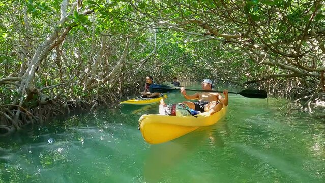 Family Kayaking Kayak in the Florida Keys in the Mangrove Forest Wetlands