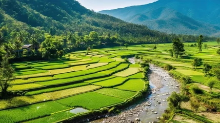 Foto auf Glas Idyllic Landscape of Vietnamese Rice Terraces Generative AI © AlexandraRooss