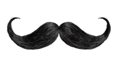 Black moustache on white background,png