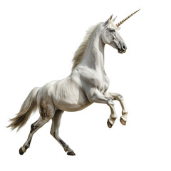 A unicorn rearing up on white background,png