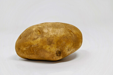 A russet skinned potato on a white background with copy space