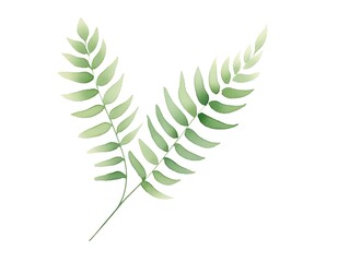 Fern Frond, Fern frond, green simplicity, shadow play, cartoon drawing, water color style.