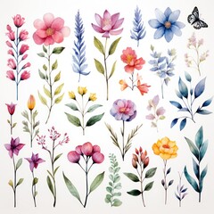 Vibrant Watercolor Botanical Illustrations Generative AI