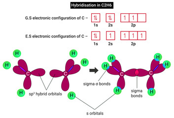 Hybridization of Ethane (C2H6): Hybridization of Carbon in C2H6 - obrazy, fototapety, plakaty
