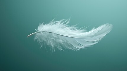 an elegant feather floating in the air interior green background. Airy concept