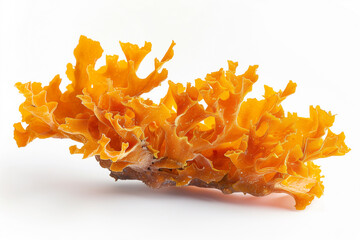 Golden Marine Ruffles: Orange Sea Moss Delight