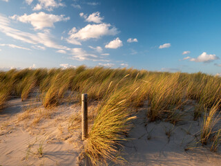 Baltic Sea Germany Graal-Müritz Beach - 782441249
