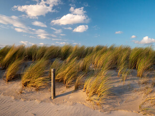 Baltic Sea Germany Graal-Müritz Beach - 782441809