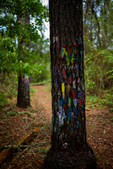 path in the forest trail marker