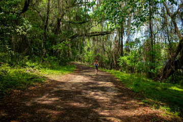 hike path in the forest