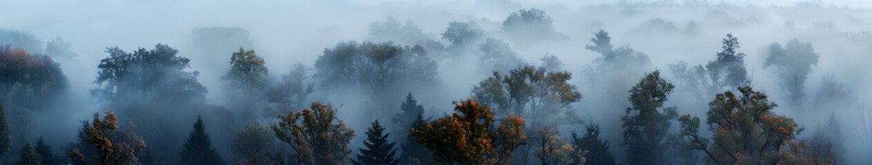 Aerial view of a mystical foggy forest, misty morning with scenic nature view
