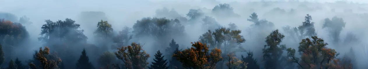 Fototapeten Aerial view of a mystical foggy forest, misty morning with scenic nature view © Markus