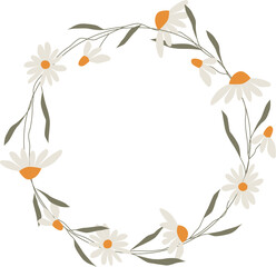 Daisy circle wreath. Flower vector round frame. Flat chamomile illustration