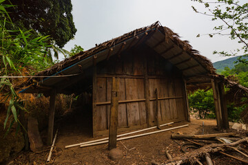 Original village thatched house in Chubao Village, Wuzhishan City, Hainan, China