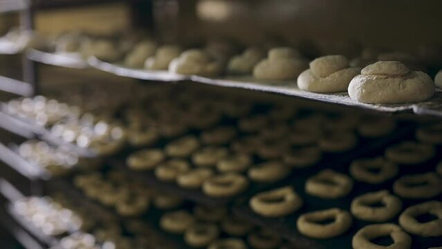 Raw bread dough on metal trays, shaped like muffins and cookies, located on shelves.
