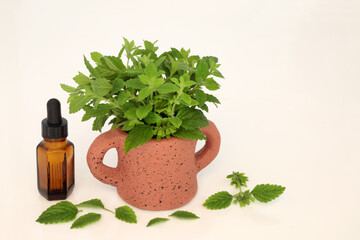 Lemon balm herb with essential oil bottle used in aromatherapy and natural herbal medicine to relieve anxiety, stress and improve gut health. On cream background. Melissa officinalis.
