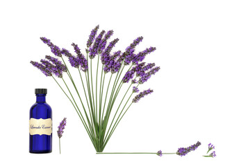 lavender; herb; flower; frame; border;  blue, bottle;    background; bouquet, adaptogen; aromatherapy; natural; herbal medicine; alternative medicine; nature;   aromatherapy oil;   essential oil; infu - 782455082