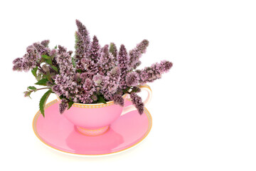 Peppermint flower leaf tea in pink teacup on white background with copy space. Relieves indigestion, IBS, is stress and anxiety relieving, helps insomnia. Surreal fun composition. Copy space.
