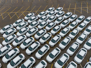 Fototapeta premium A large parking lot full of white cars. Cars leaving the car factory are waiting at the port for sale and transportation.