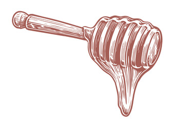Honey flowing down from wooden dipper. Sticky syrup wood spoon. Bee product sketch vector illustration