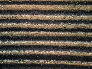 Coarsely harrowed arable field after sowing in the springtime