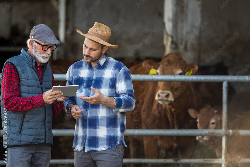 Poster Two farmers in cowshed looking at tablet