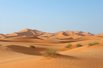 Desert landscape with sand dunes 