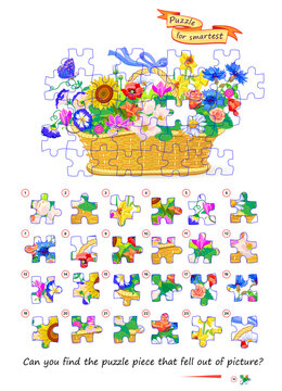 Can you find the jigsaw piece that fell out of picture? Puzzle for smartest. Logic game for children and adults. Page for kids brain teaser book. Developing spatial thinking. Vector illustration.