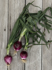 Bunch of red onions on wooden background