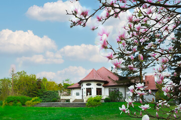 Elegant House with Majestic Magnolia Tree in Front Garden, Creating a Picturesque and Serene Scene