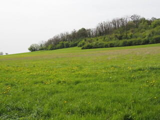 Naturschutzgebiet - Hangflächen bei Gräfinthal