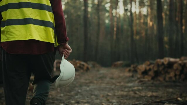 The supervisor is active at the logging site coordinating the process of cutting and preparing wood for further processing. Presence on site ensures effective management and control of task completion