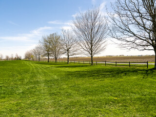 Beautiful peaceful springtime scene of a grassy field under a blue sky with wispy clouds. Trees and a fence line the perimeter of view. Views to the horizon.