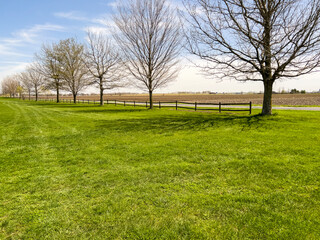 Beautiful peaceful springtime scene of a grassy field under a blue sky with wispy clouds. Trees and a fence line the perimeter of view. Views to the horizon.