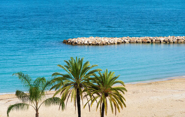 Palm trees on the empty Mediterranean sea beach of the Cote Azure and stone pier